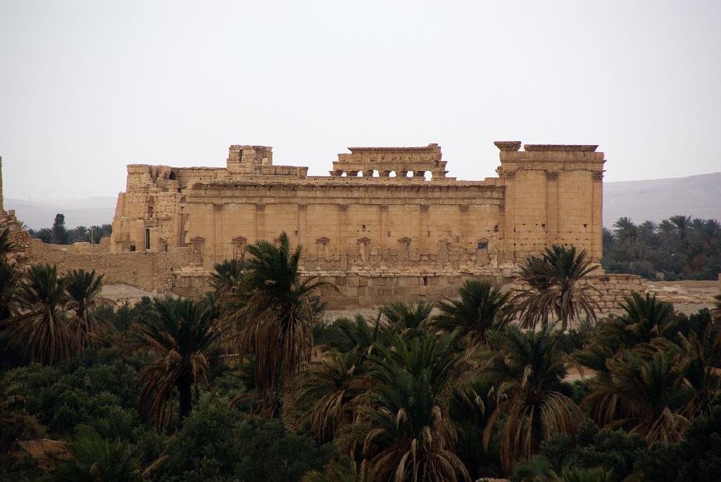 19 Palmira.JPG